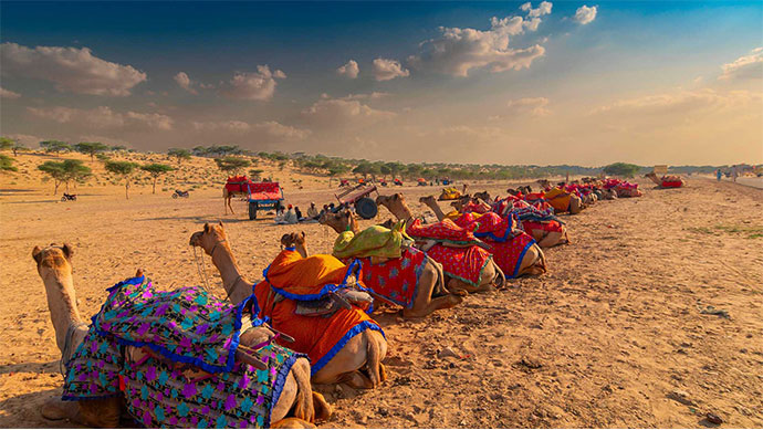 desert-rajasthan
